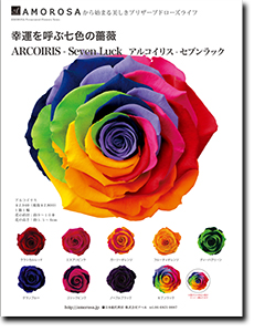 七色の薔薇 アルコイリス-セブンラック 登場: AMOROSA NEWS