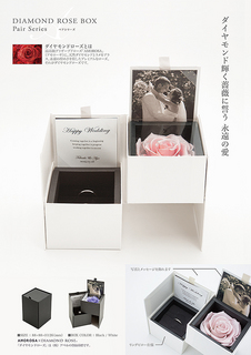 pair-BOX-POP.jpg